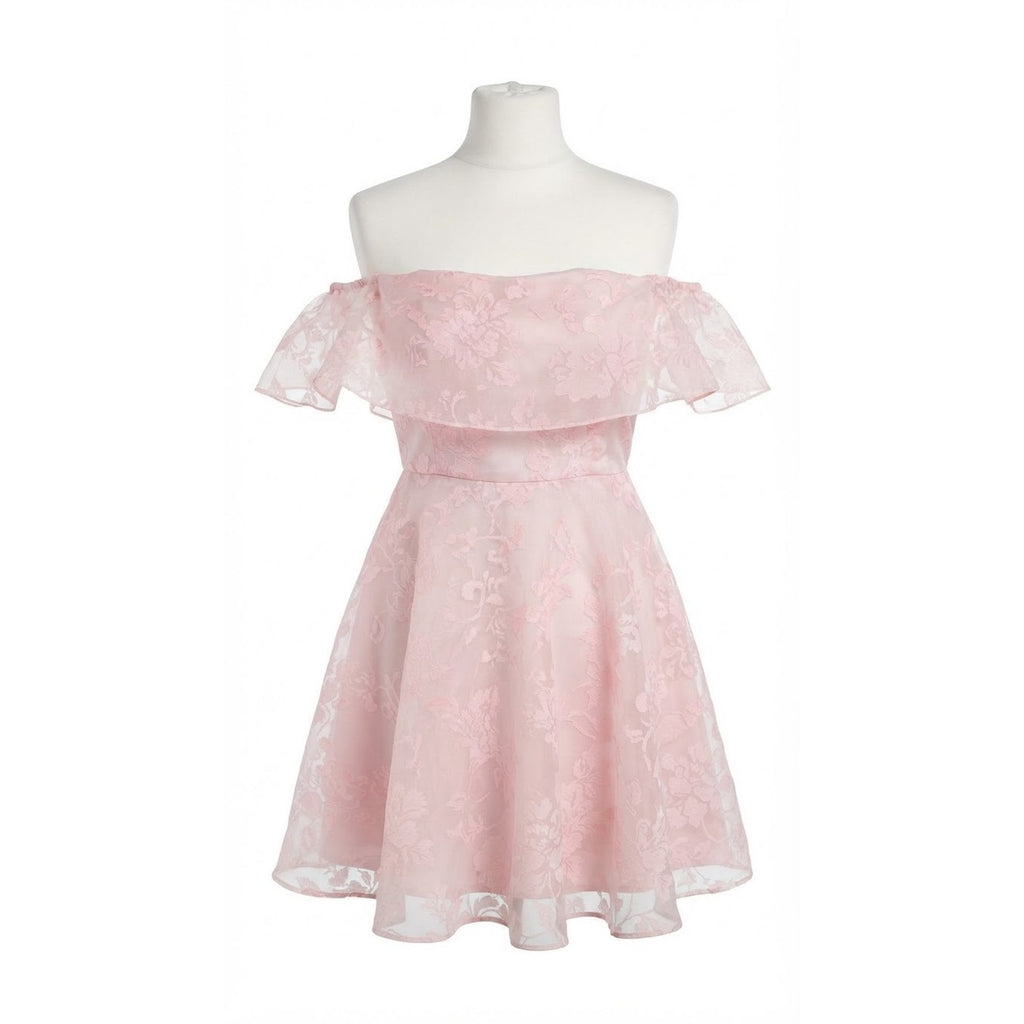 Vintage Y2K Blush Pink Floral Organza Mini Dress Sheer